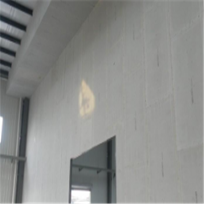 东至宁波ALC板|EPS加气板隔墙与混凝土整浇联接的实验研讨